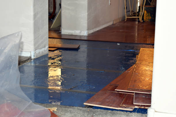 Professional Burst Pipe Cleanup technician working in Flint, MI